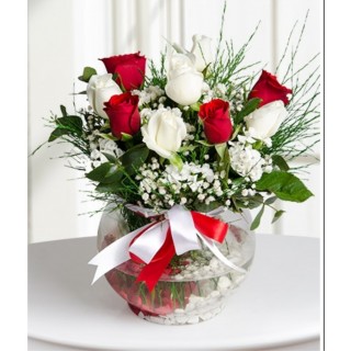 Fanusta Beyaz ve Kırmızı Güller